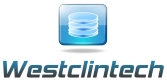 westclintech.com